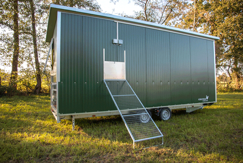 Https Encrypted Tbn0 Gstatic Com Images Q Tbn 3aand9gctpsxqkyusplb7vduxg77c49uado2ok7t1ldg Usqp Cau